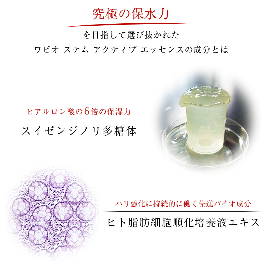 究極の保水力を目指して選び抜かれた成分とは