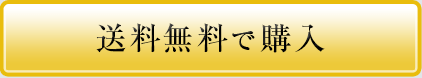 送料無料で購入
