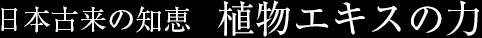 日本古来の知恵 植物エキスの力