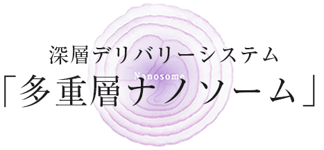深層デリバリーシステム「多重層ナノソーム」