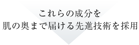 これらの成分を肌の奥まで届ける先進技術を採用