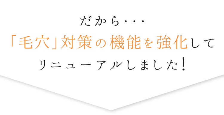 だから、毛穴対策の機能を強化してリニューアルしました