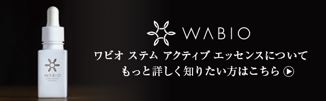 もっと詳しく知りたい方はこちら